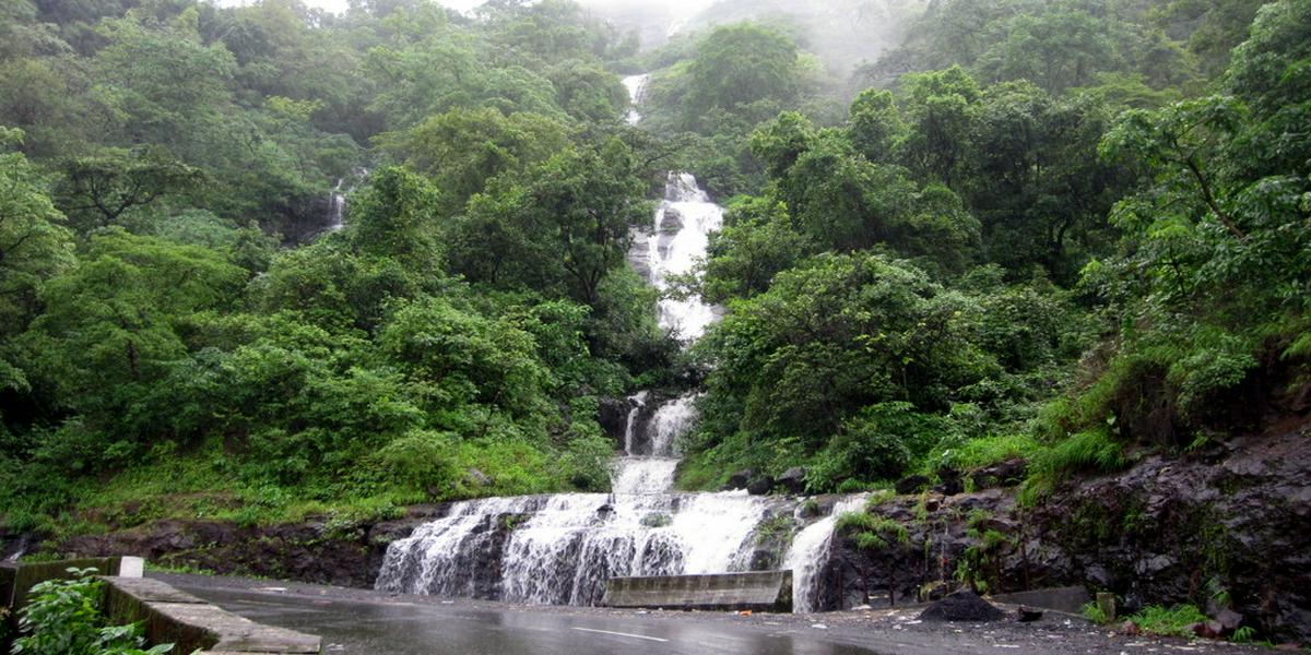 tour-image