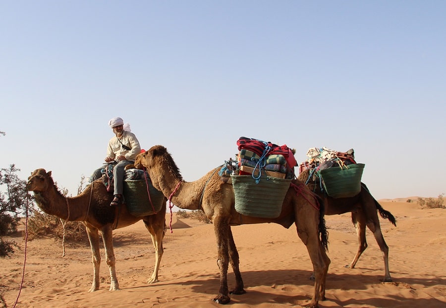 Trek & Sightseeing Tour To Explore Berber Villages - Morocco