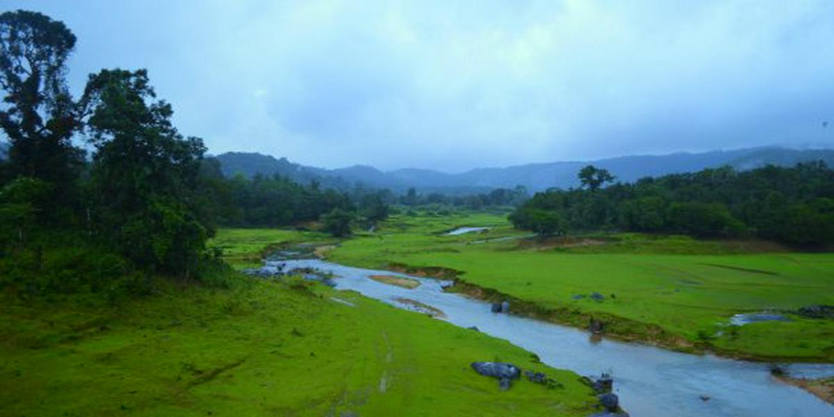 tour-image