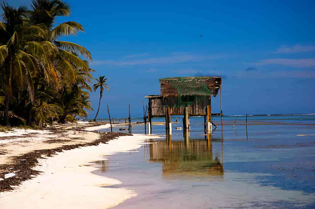 tour-image